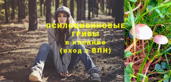 ГАЛЛЮЦИНОГЕННЫЕ ГРИБЫ Шарыпово