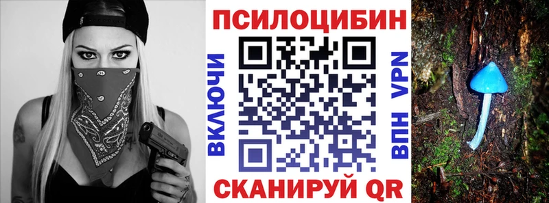 как найти Сланцы Галлюциногенные грибы мухоморы