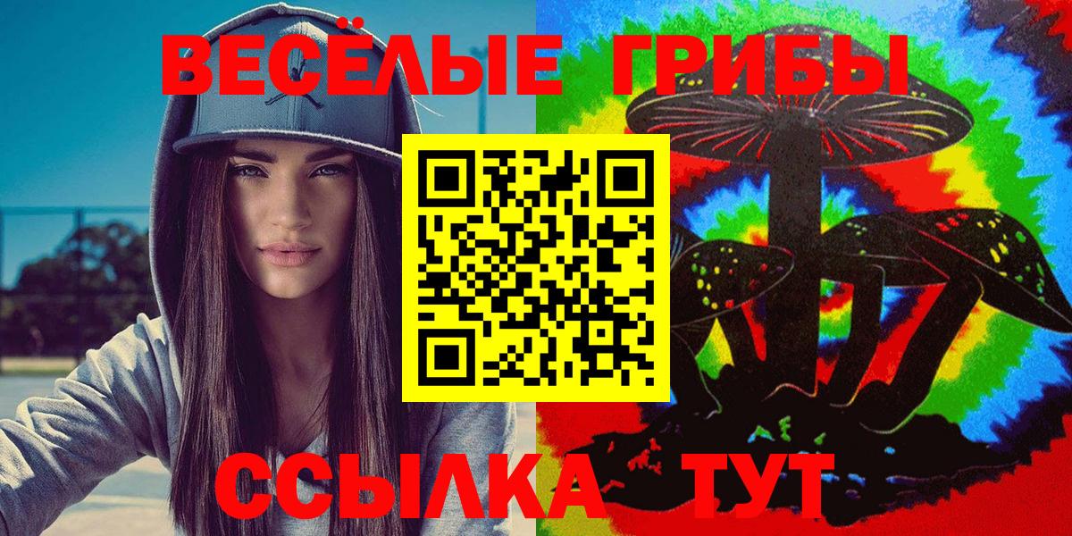Галлюциногенные грибы Cubensis Сланцы