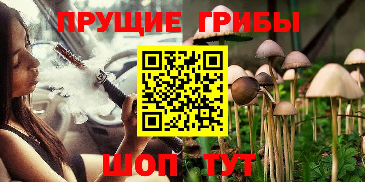 Сланцы  Псилоцибиновые грибы Psilocybe  продажа наркотиков  Псилоцибиновые грибы Psilocybe  Вход с VPN 